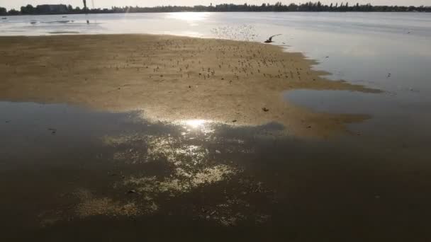 Luchtfoto van een ondiepe shoal en wetland patches van Dzharylhach in de zomer — Stockvideo