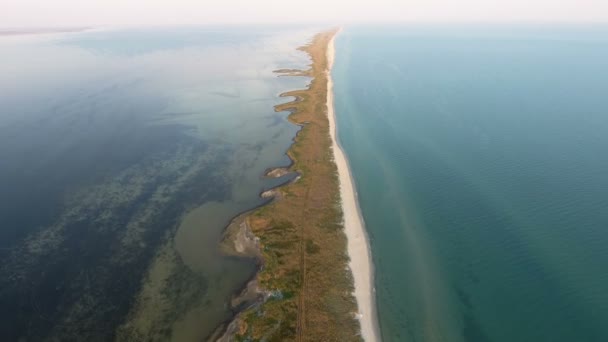 Vue aérienne de l'étroite et longue flèche de sable recouverte de scirpe et de mauvaises herbes — Video