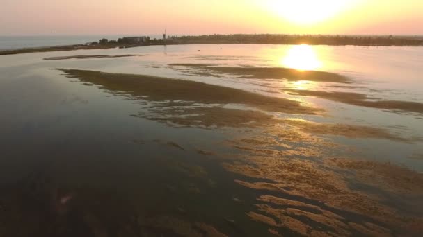 Dzharylhach 岛浅滩芦苇和杂草斑块的空中拍摄 — 图库视频影像