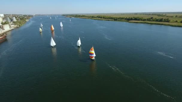 Letecký snímek Regata se spoustou jachty plachetnice na Dněpru v létě — Stock video