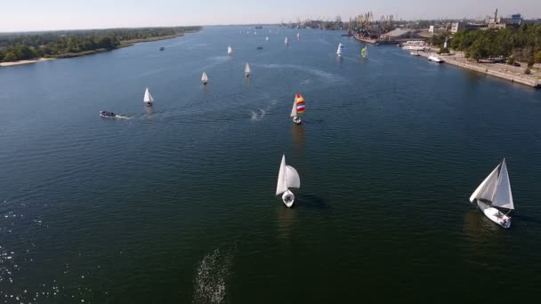 Vue aérienne d'une régate avec beaucoup de yachts naviguant dans le Dnipro en été — Video