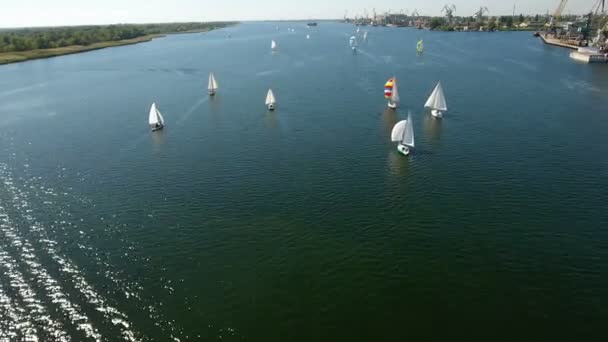 Foto aerea di molti yacht graziosi che navigano nel Dnipro in estate — Video Stock