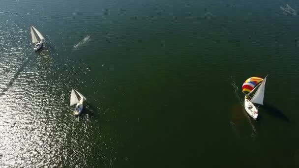 Luftaufnahme von drei prächtigen Yachten, die im Sommer im Dnipro segeln — Stockvideo