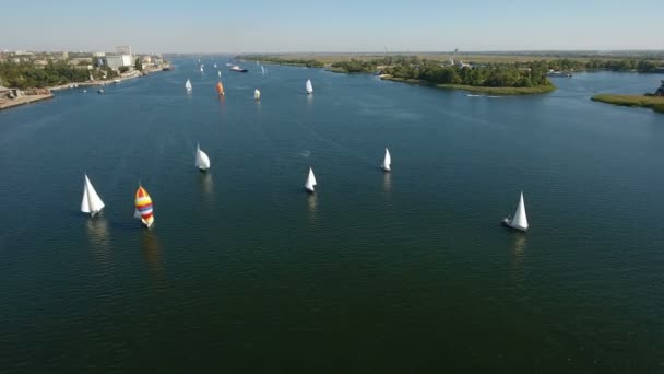 Letecký snímek tucet luxusní jachty plachetnice na Dněpru v létě — Stock video