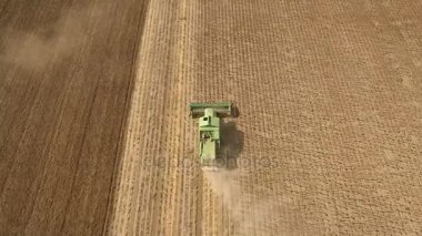 Bir modern hava atış olgun ayçiçeği tohum toplama hasat birleştirmek