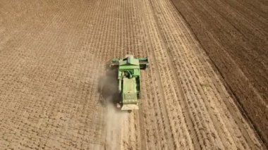 Ayçiçeği tohum toplama bir birleştirme hasat sonra Lugash'a düşük uçan uçak..