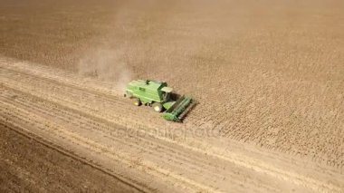 Hareketli bir birleştirme hasat toplama ayçiçeği hava 180 derece çekim 