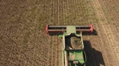 Düşük bir uçan dron ayçiçeği yan yatan bir modern birleştirmek hasat üzerinde scudding.