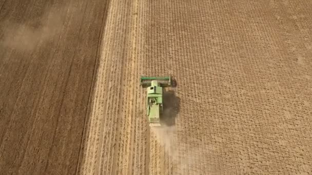 Luchtfoto van een modern combineren harvester verzamelt rijp zonnebloempitten — Stockvideo