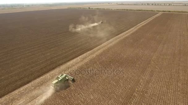 Bir yeşil havadan çekim olgun ayçiçeği tohum toplama hasat birleştirmek — Stok video