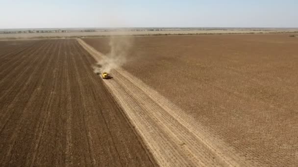 Аэросъемка желтого трактора, вспахивающего агрополе в Восточной Европе в августе — стоковое видео