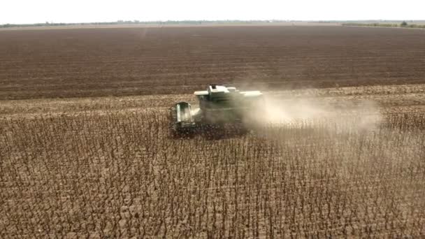 Luchtfoto profiel shot van een werkende combineren harvester verzamelt zonnebloempitten — Stockvideo