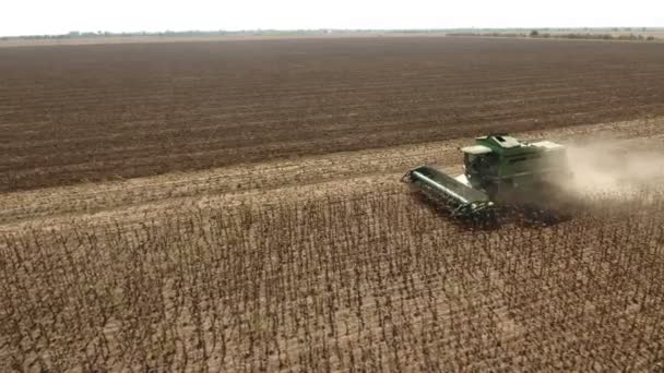 Um drone voador baixo está atirando em uma colheitadeira coletando sementes de girassol . — Vídeo de Stock
