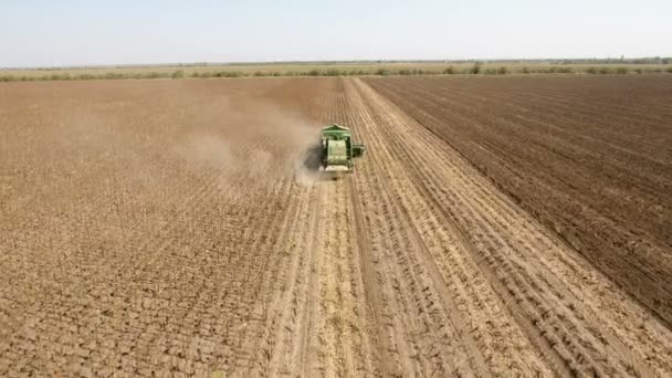 Un drone volant à basse altitude rattrape une moissonneuse-batteuse qui récolte des graines de tournesol . — Video