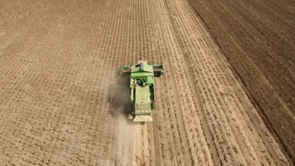 Een laag vliegende drone winging na een combine harvester verzamelen zonnebloempitten.. — Stockvideo