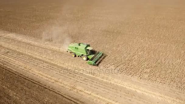 Luchtfoto 180 graden shot van een bewegend combine harvester verzamelen zonnebloem — Stockvideo