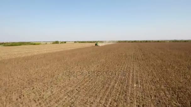 Un drone a basso volo che corre verso una mietitrebbia raccogliendo semi di girasole .. — Video Stock