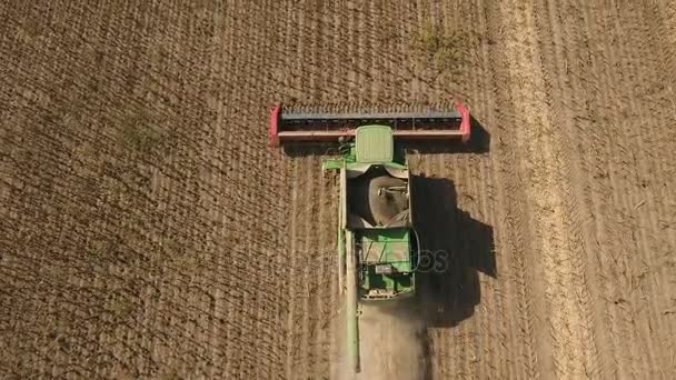 Hoge vliegende drone stijgende over een groene combine harvester harken zonnebloempitten. — Stockvideo