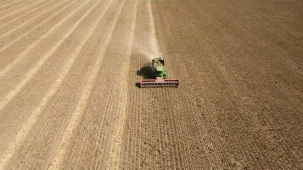 Een hoog vliegende drone stijgende voordat een grote combine harvester verzamelen zonnebloem. — Stockvideo