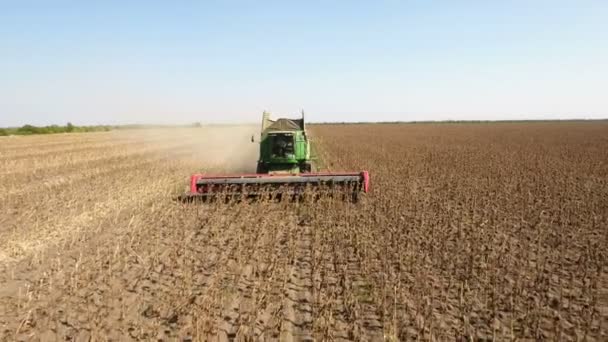 A low flying drone scudding before a big combine harvester gathering sunflower. — Stock Video