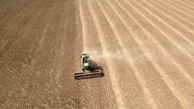 Ayçiçeği yan yatan bir birleştirme hasat öncesinde düşük uçan uçak uçar.