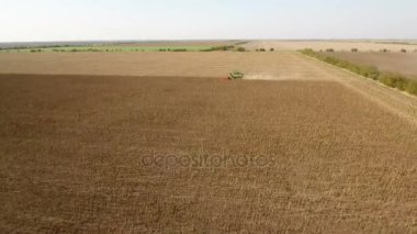 Büyük bir hava atış ayçiçeği güneşli bir günde yan yatan hasat birleştirmek