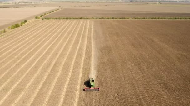 A high flying drone flies ahead of a combine harvester collecting sunflower. — Stock Video