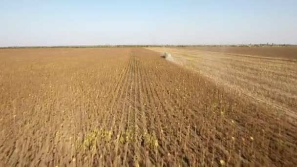 A quick flying drone catches up a combine harvester collecting sunflower. — Stock Video