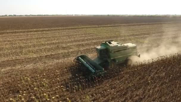 Nikolaev, ukraine - 29. September 2017: Luftaufnahme eines grünen Mähdreschers, der an einem sonnigen Tag Sonnenblumen harkt — Stockvideo