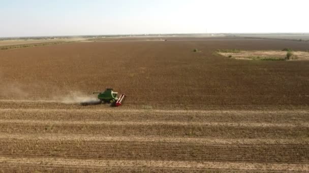 Colpo aereo di una laboriosa mietitrice che raccoglie grano in estate — Video Stock