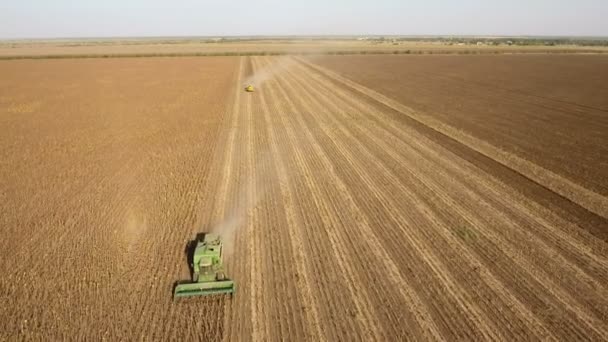 Luchtfoto van een groen combineren harvester verzamelen van tarwe in de zomer — Stockvideo