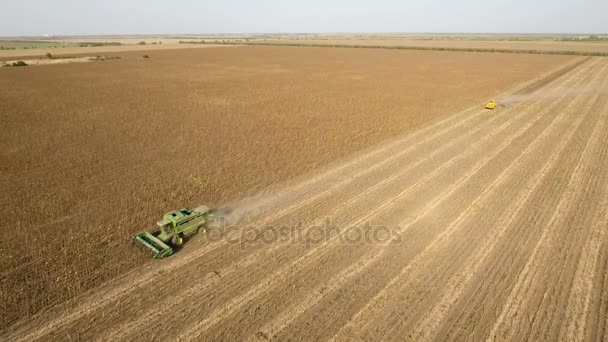 Plano aéreo de una cosechadora grande recoger grano de trigo en verano — Vídeo de stock