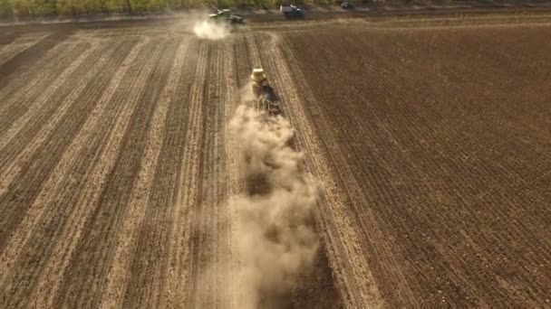 Plano aéreo de una cosechadora móvil recoger girasol en verano — Vídeo de stock