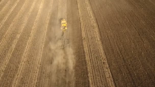 Luftaufnahme eines gelben Mähdreschers, der im Sommer reife Sonnenblumen sammelt — Stockvideo