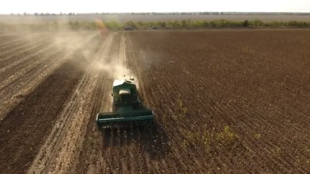 Luchtfoto van een werkende combineren harvester rijp zonnebloem verzamelen in de zomer — Stockvideo