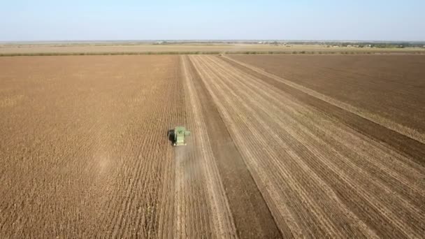 Aerial shot of a modern combine harvester which collects sunflower in summer — Stock Video