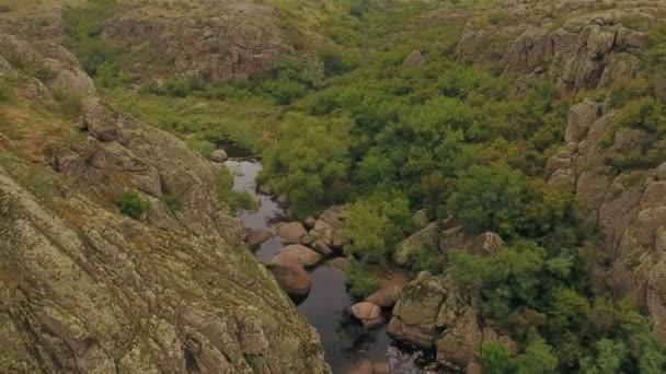 Una Vista Inspiradora Pájaro Una Pequeña Cascada Con Salpicaduras Espumosas — Vídeos de Stock