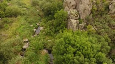               Hangi bankaların yüksek ağaçlar ve çalılar ile kaplı bir ince siyah nehir sanatsal bir bakış. Ukrayna bir vadiye taşır.