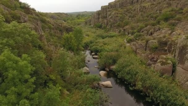 Enigmatic View Curvy Black River Flowing Big Stones Rocks Narrow — Stock Video