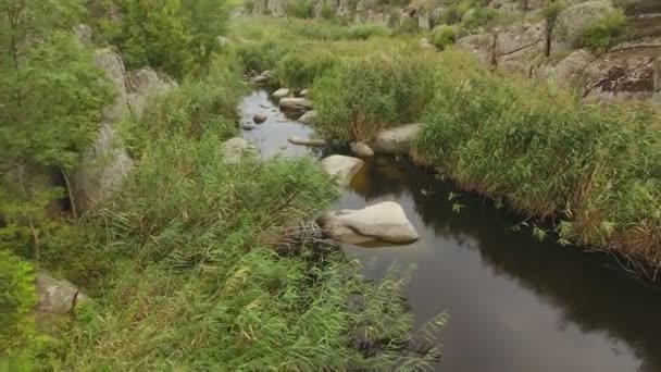 ウクライナでロッキー山脈の間で狭い渓谷に流れる魔法黒川の謎の表示 風景が異常に見える — ストック動画