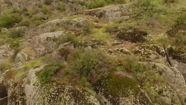 Enigmatic Bird Eye View Ancient Rocks Light Brown Color Covered — Stock Video