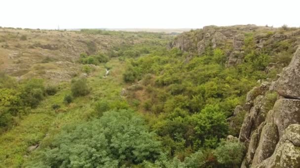 夏にウクライナの木そして薮の中で古代の要塞のように見える巨大な石を一緒に入れてのグループの神秘的な様子 — ストック動画