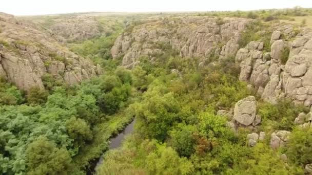 Une Vue Oiseau Passionnante Ravin Sauvage Parmi Les Hautes Roches — Video