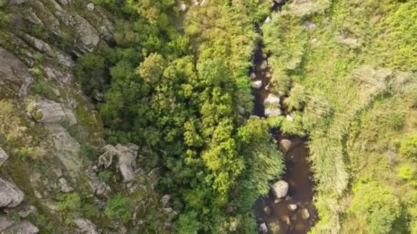 Une Vue Imprenable Sur Côte Mer Noire Couverte Collines Ravin — Video