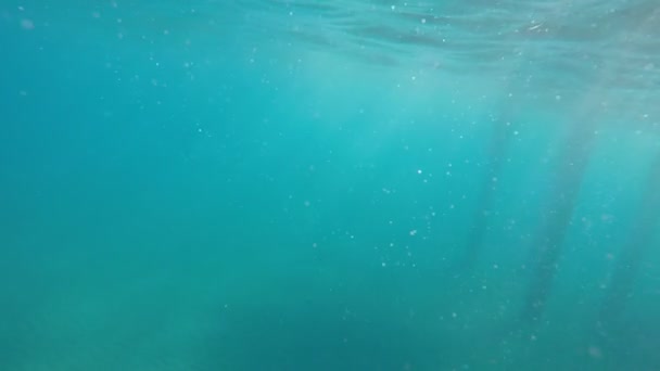 Una Vista Increíble Joven Buceando Mar Mediterráneo Día Soleado Verano — Vídeo de stock