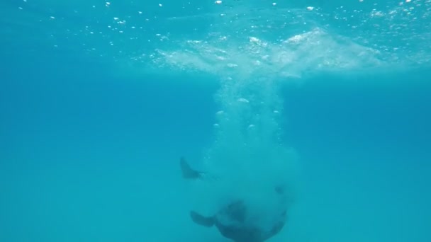 슬로우 모션으로 여름에는 수영장의 청록색 바다에서 줄기에 소년의 — 비디오