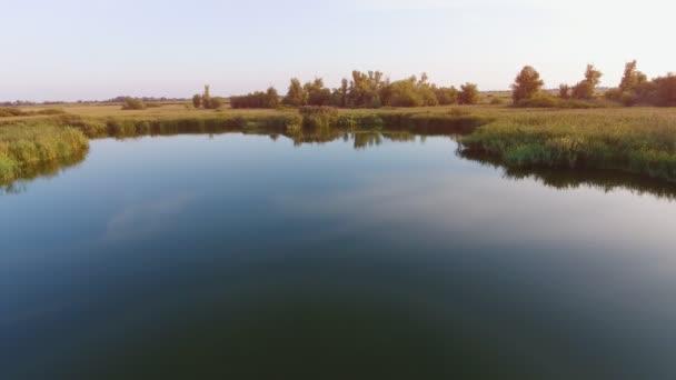 ドニプロ川の青い海の空中ショットは ドニプロ川の暗い青面の元の鳥の目のビューをスゲのパッチで覆われました それは夏のユリ 緑スパッタ ドック ユリで覆われています — ストック動画