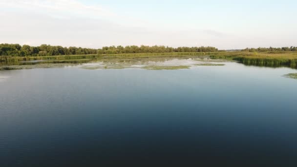 Luftaufnahme Des Wilden Wassers Des Flusses Dnipro Der Mit Feuchtgebieten — Stockvideo