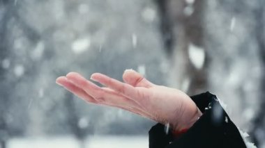 Bir kadın eli romantik görüntülemek dışarı uzatılmış bir kadın el karlı bir kış aylarında kar taneleri harika bir parkta yakalar. Güzel ve bakımlı görünüyor. Kışın sihirli bir parkta köpüklü kar taneleri yakalar. 