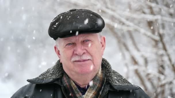 Brave Old Man Stands White Snowflakes Splendid Park Winter Gorgeous — Stock Video